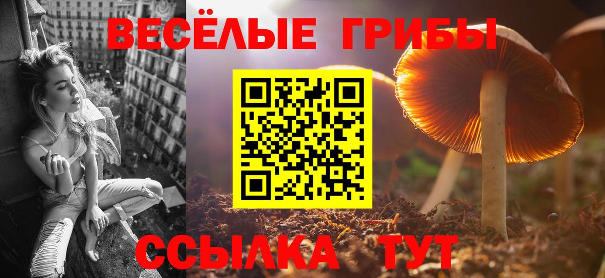 Галлюциногенные грибы Magic Shrooms Баксан