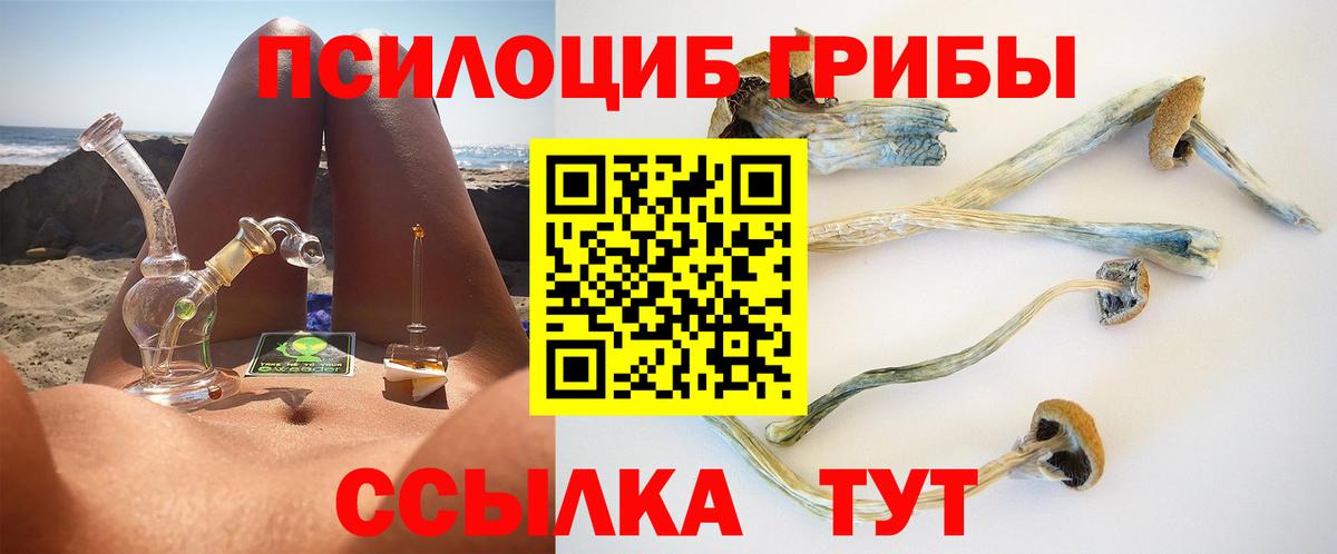 Галлюциногенные грибы Cubensis  Вход с VPN  Баксан 